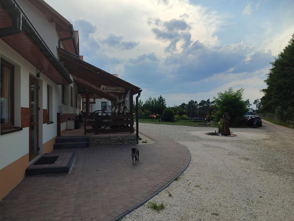 Agrowczasy Nad Stawem Βίλα Gartatowice Εξωτερικό φωτογραφία