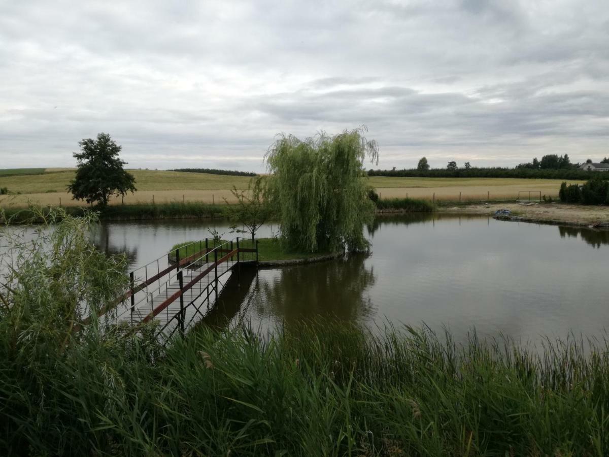 Agrowczasy Nad Stawem Βίλα Gartatowice Εξωτερικό φωτογραφία