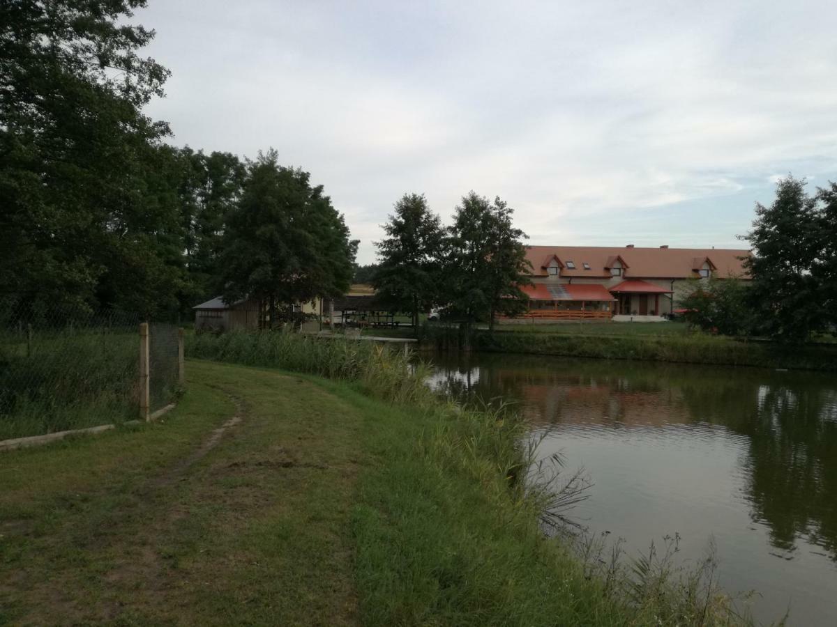 Agrowczasy Nad Stawem Βίλα Gartatowice Εξωτερικό φωτογραφία
